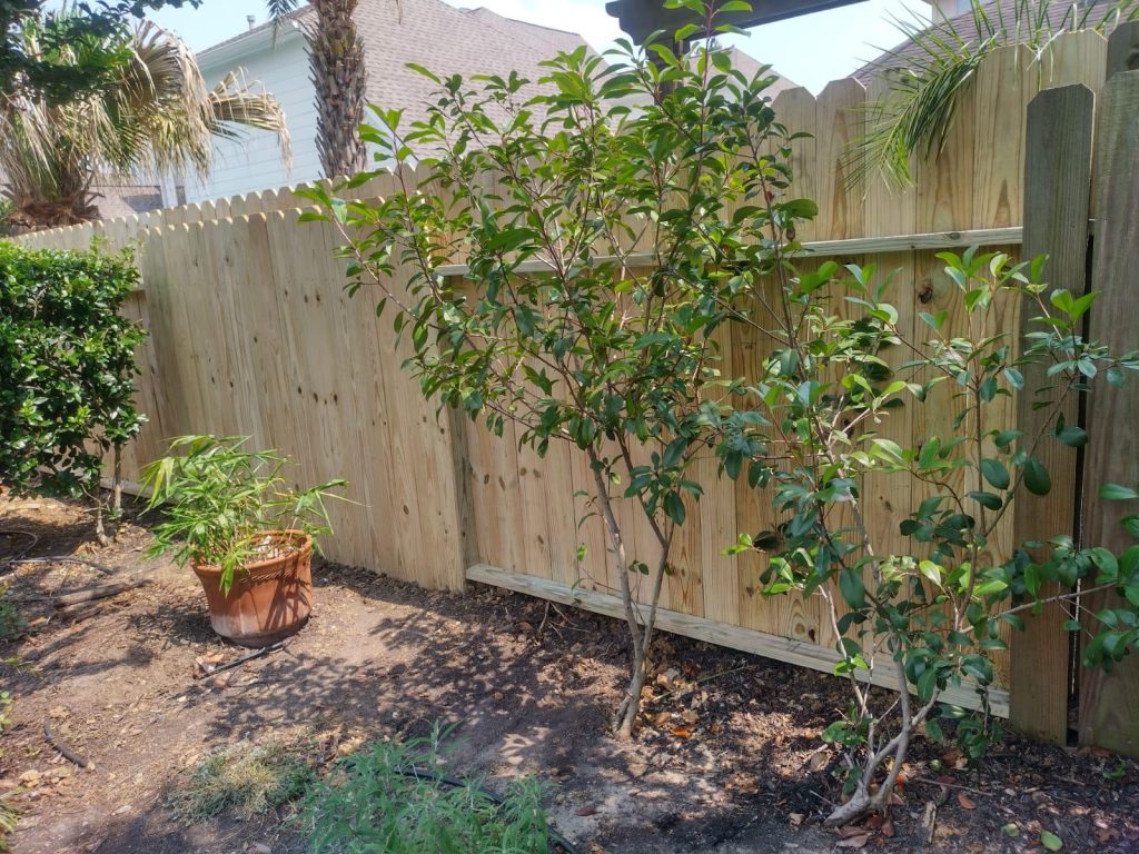 Wooden Fence in Houston Texas